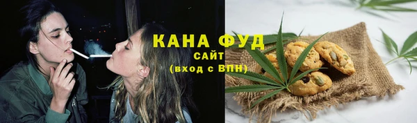 дживик Алапаевск