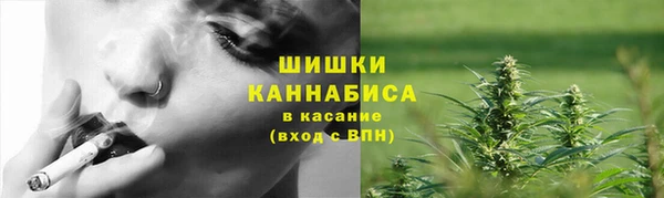 молекула духа Горно-Алтайск