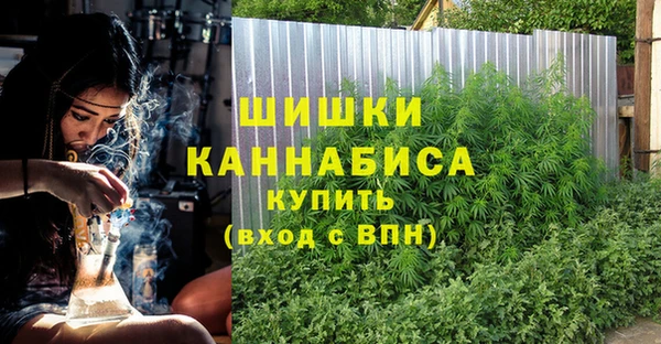 гидропоника Горняк